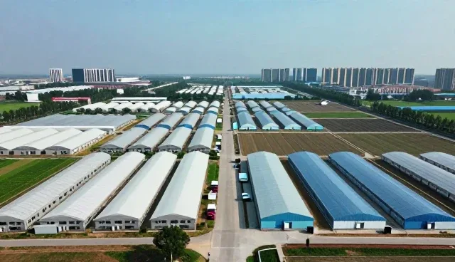 低压配电箱在工程调试中的多场景应用解析
